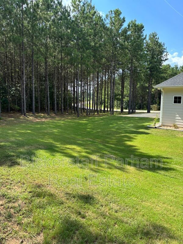 311 Mulberry Crossing Drive property image